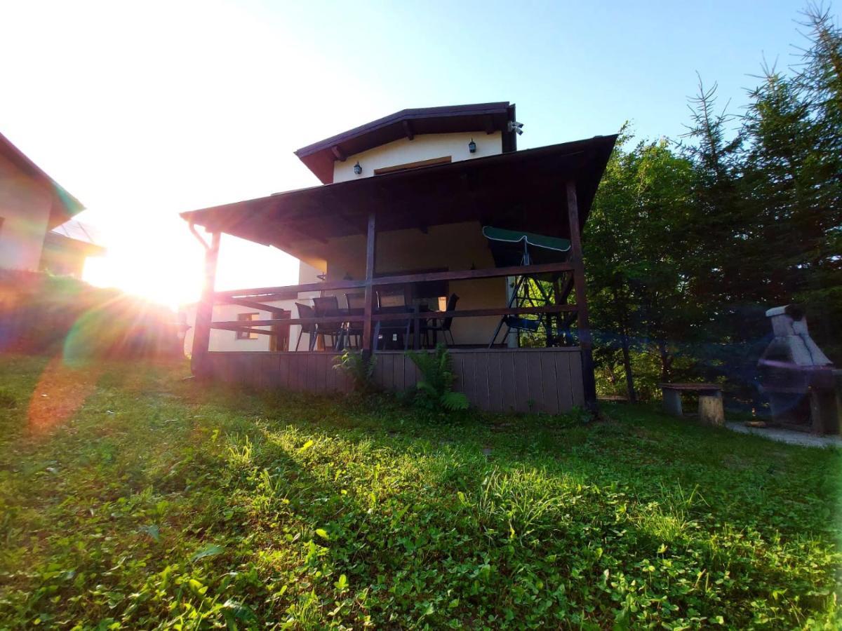 C House Villa Buşteni Eksteriør billede