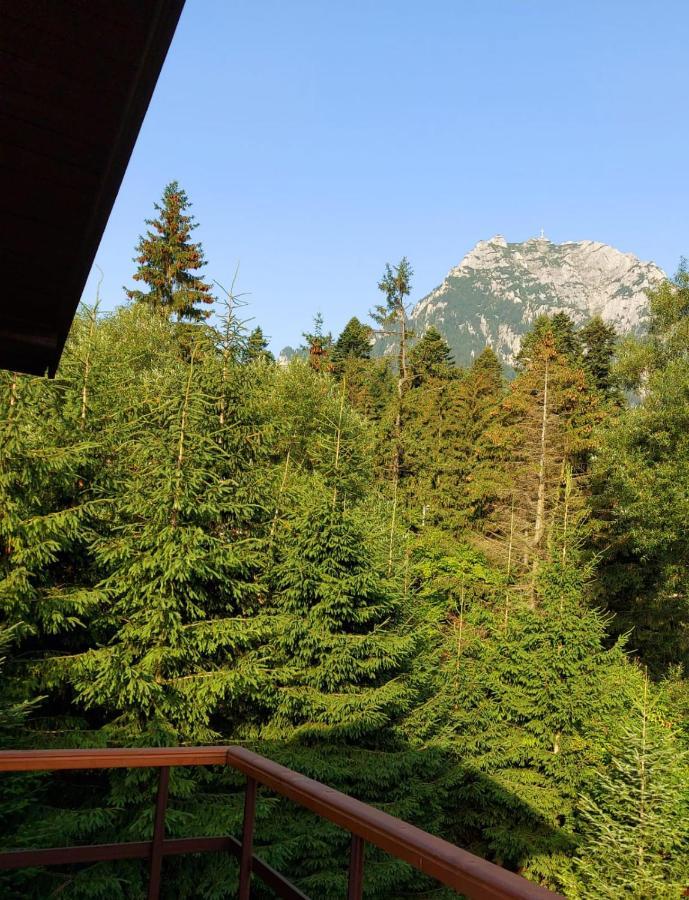 C House Villa Buşteni Eksteriør billede