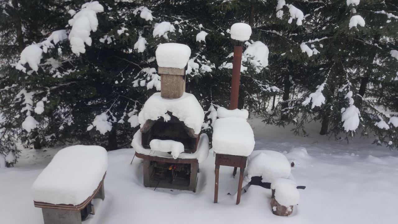 C House Villa Buşteni Eksteriør billede