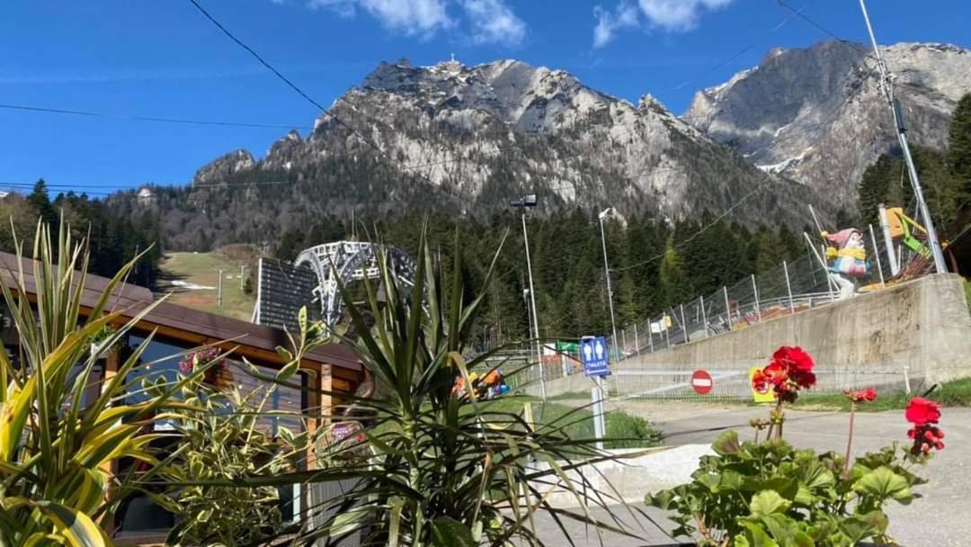 C House Villa Buşteni Eksteriør billede